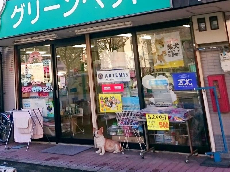 ペットショップ　グリーンペット