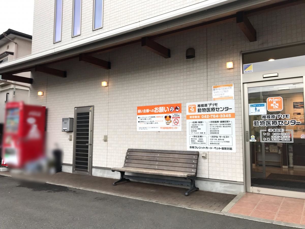 エントランス周り