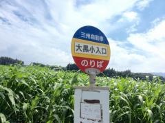 「大黒小入口」バス停留所