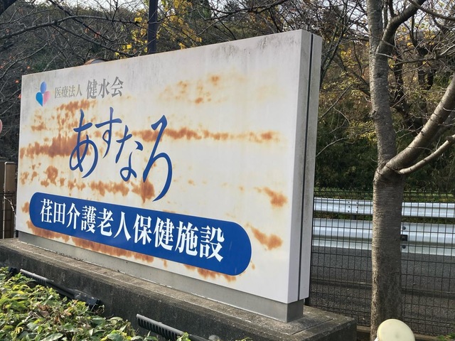 あすなろ