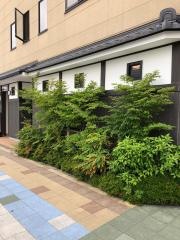 いわし料理　善