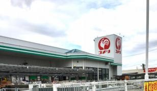 コメリハード＆グリーン　琴丘店