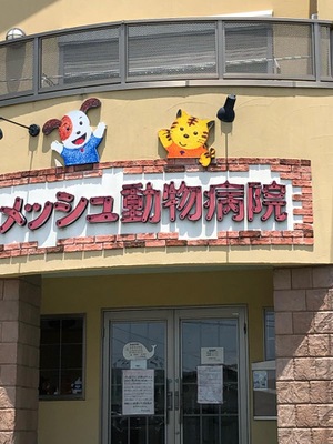 ドッグメディカル メッシュ動物病院 大牟田市三池