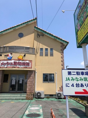 ドッグメディカル