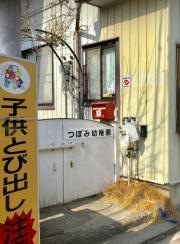 つぼみ幼稚園