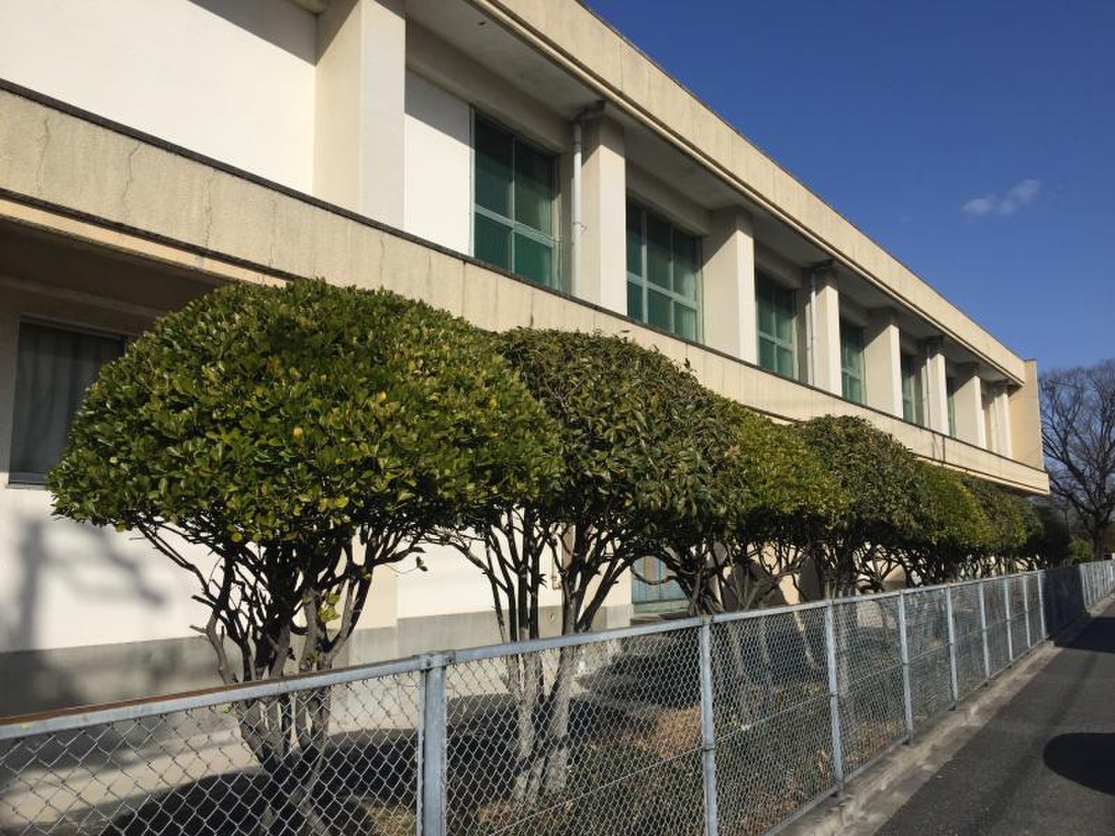 公の場での発言・インタビュー報道記録