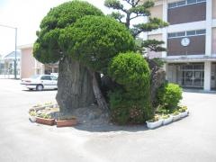 徳島市立津田中学校