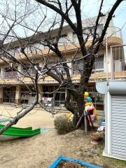 玉川保育園