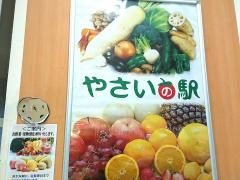 ＶｅｇｅｔａｂｌｅＳｔａｔｉｏｎ２１