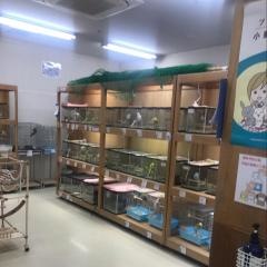ビバペッツ　鴻巣店