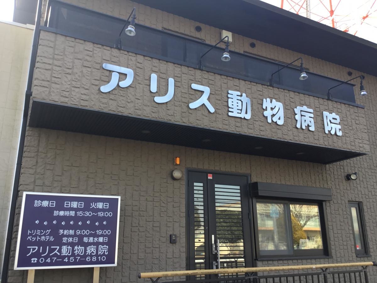 アリス動物病院