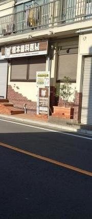 橋本歯科医院