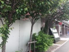 愛育病院