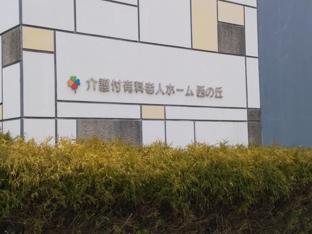 西の丘