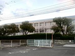 新田青雲中等教育学校