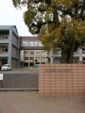 新田青雲中等教育学校