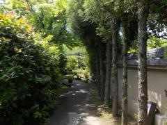 筥崎宮神苑花庭園