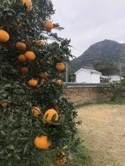 旧田中別邸