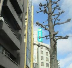 平成調剤薬局　柳ケ瀬店