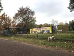 川越水上公園