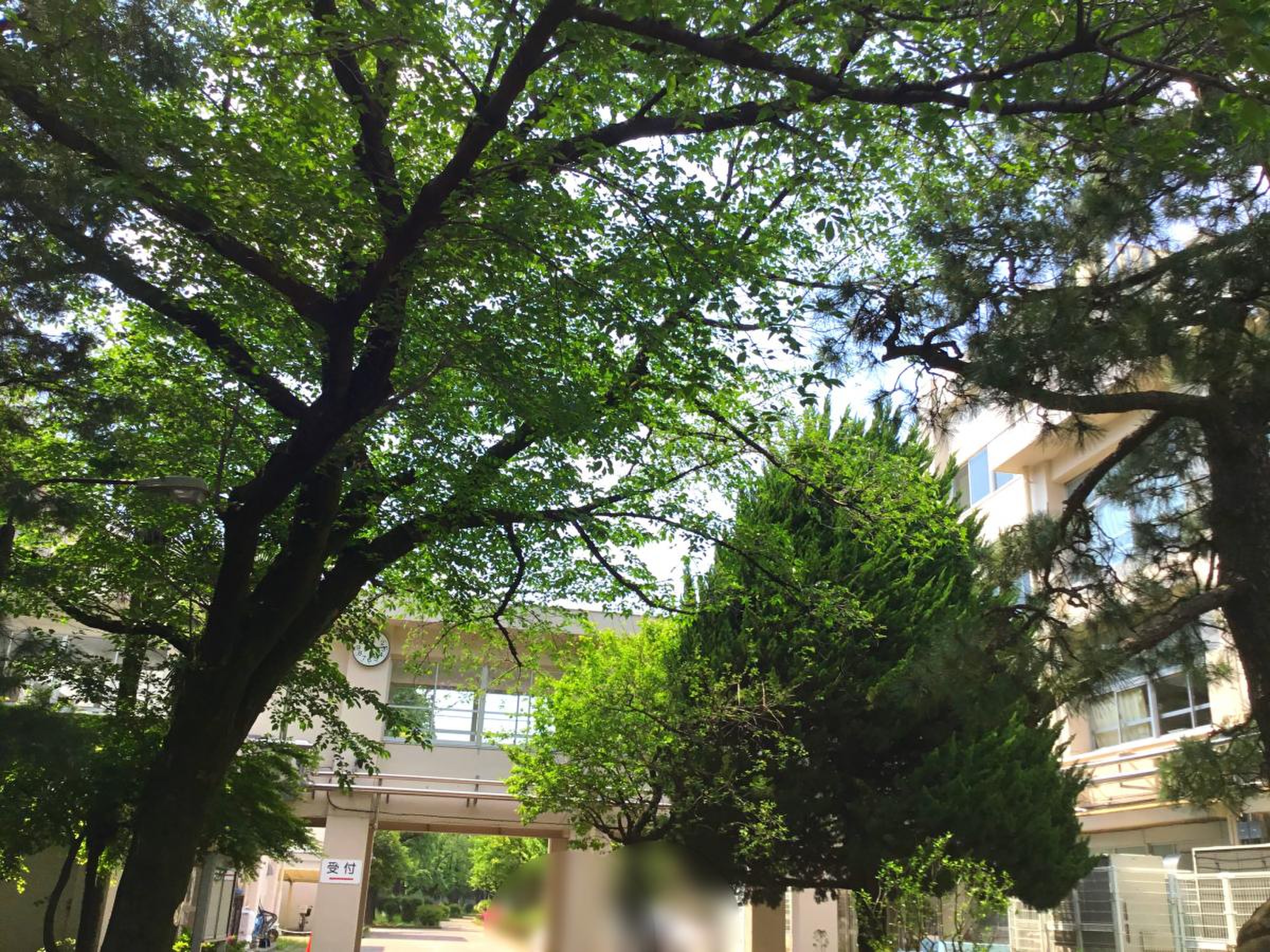 開進 第 一 中学校
