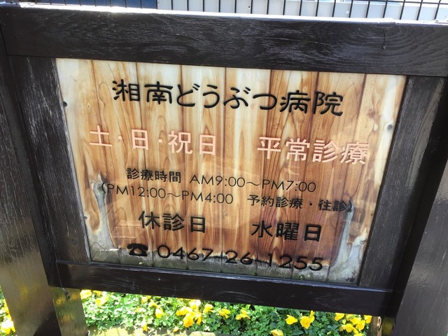 投稿写真2