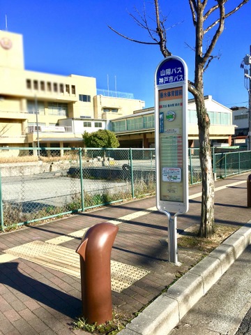投稿写真1