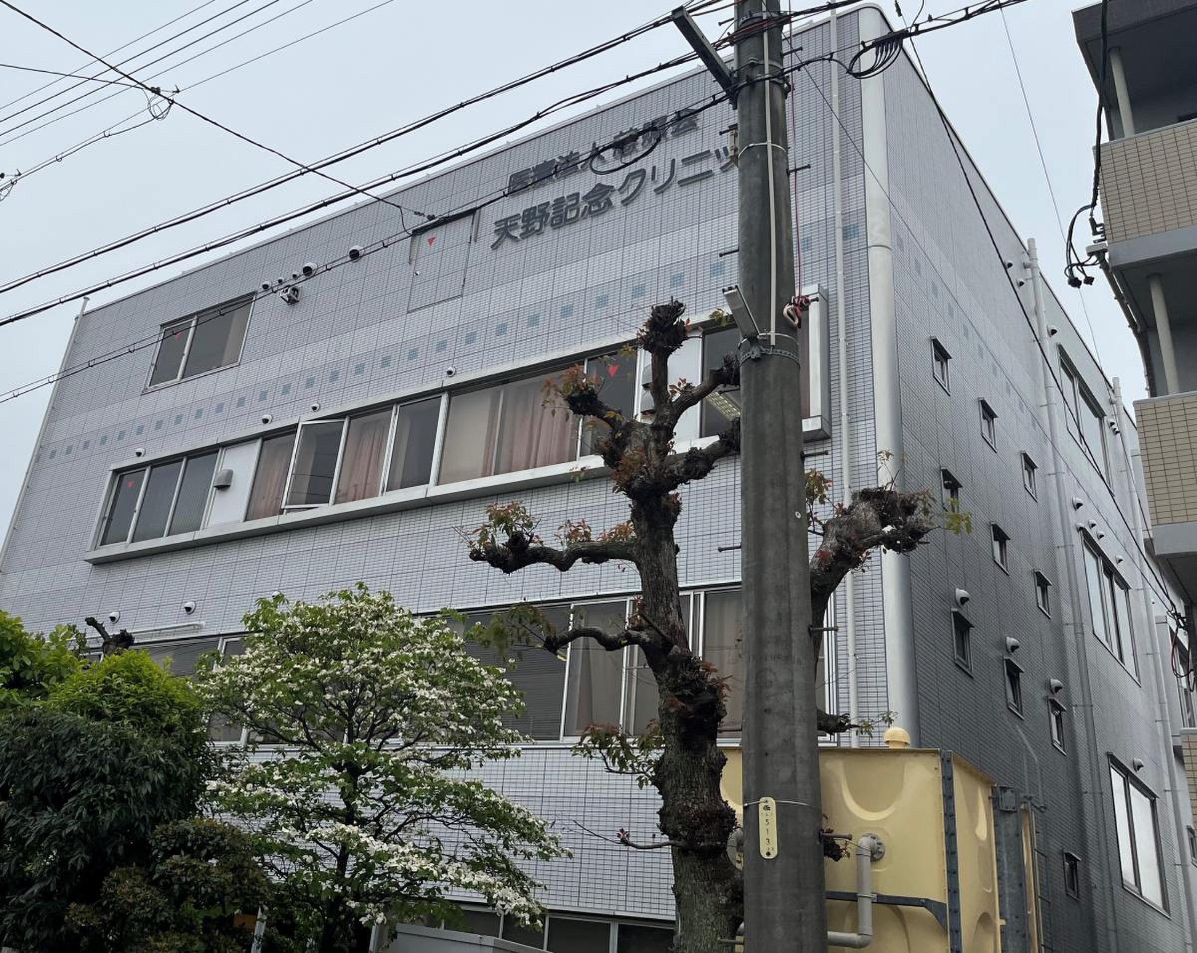 公の場での発言・インタビュー報道記録