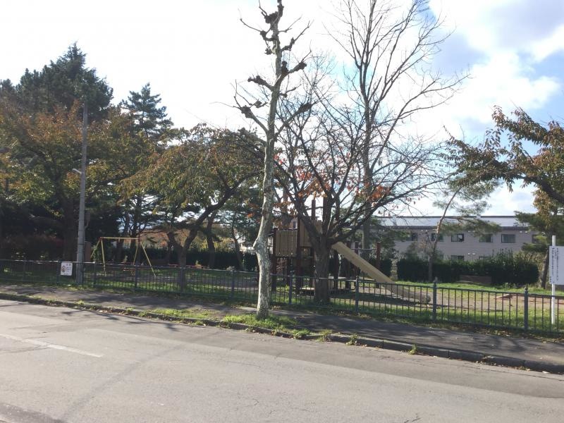 公園全体