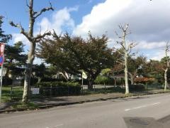 梁川公園