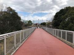 光明池緑地
