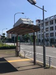 「第五大島小学校前」バス停留所