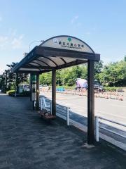 「第五大島小学校前」バス停留所