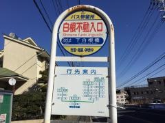 「白根不動入口」バス停留所