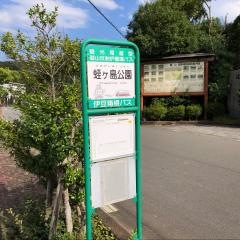 「蛭ケ島公園」バス停留所