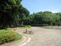 高松緑地
