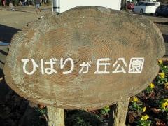 ひばりが丘公園
