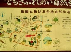 ひばりが丘公園