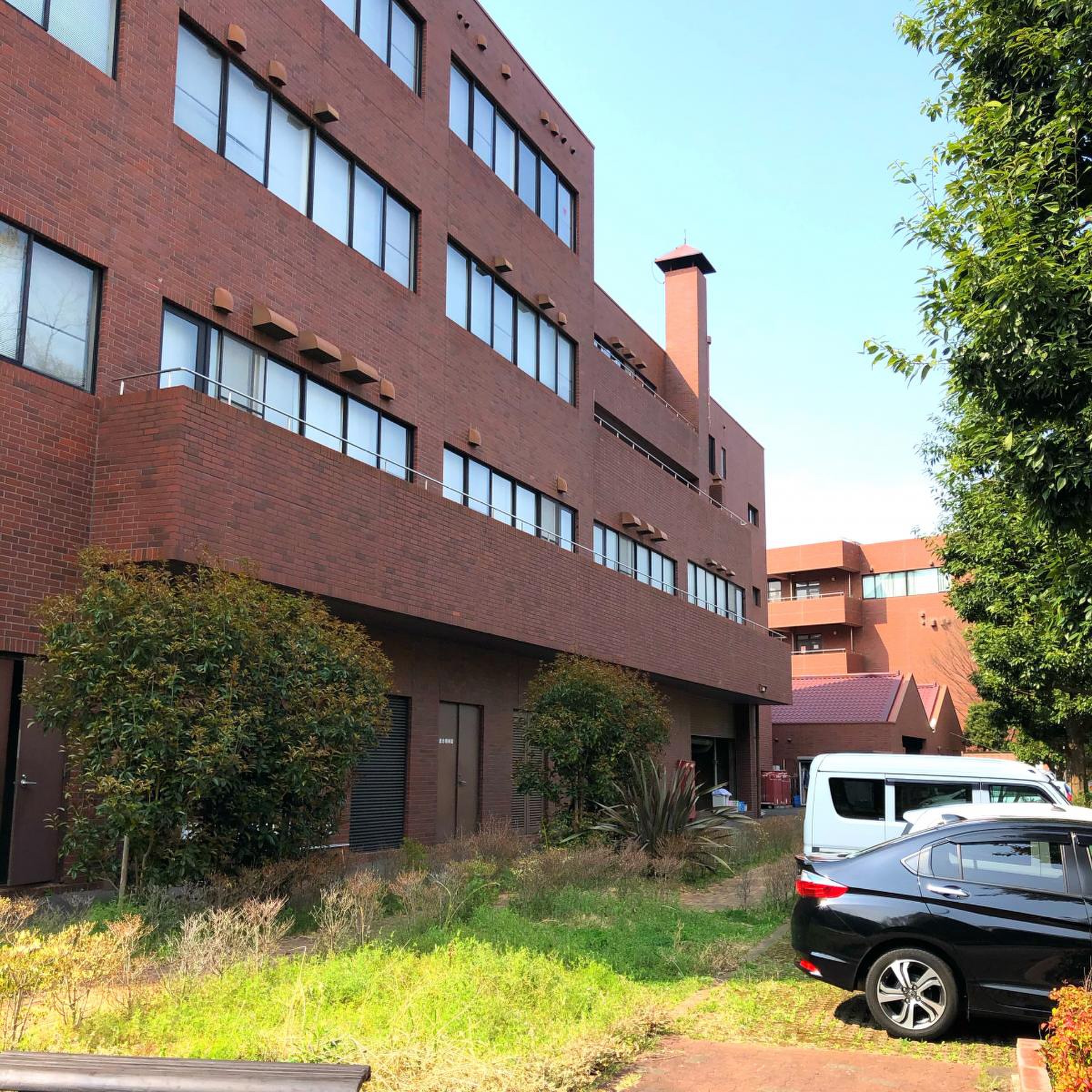 文教 大学 湘南 キャンパス