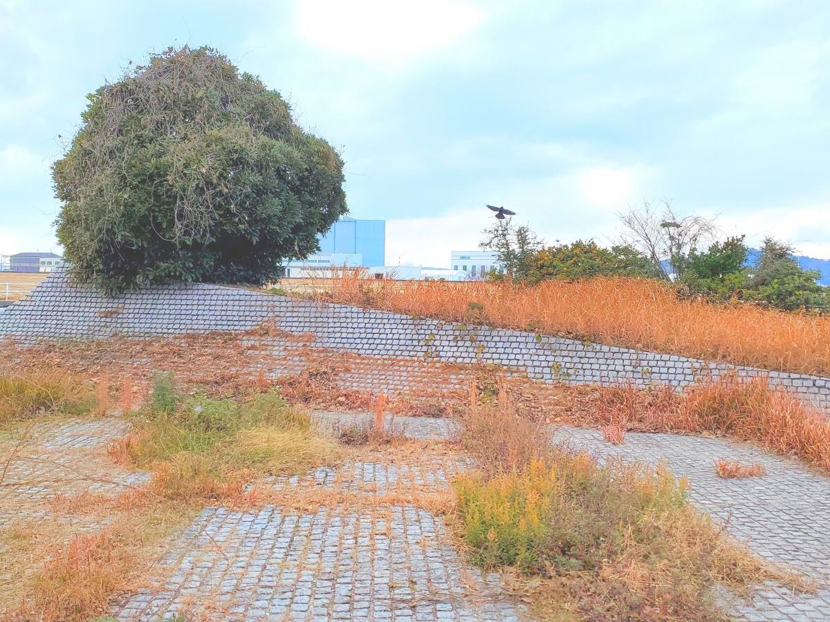 林田与北緑地
