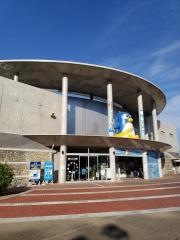 長崎ペンギン水族館