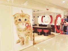 ペットハウスオーパ　福岡本店
