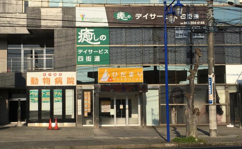 建物の外観
