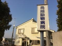 鳥越動物病院