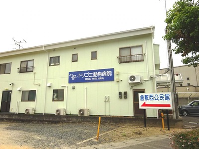ドッグメディカル 鳥越動物病院