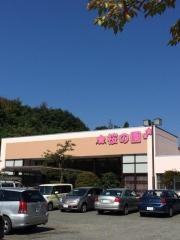 さくら