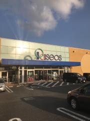 パシオス東金店