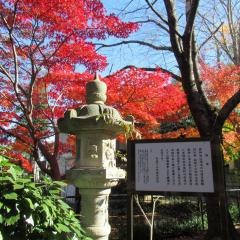 廣瀬神社