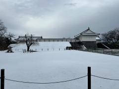 霞城公園