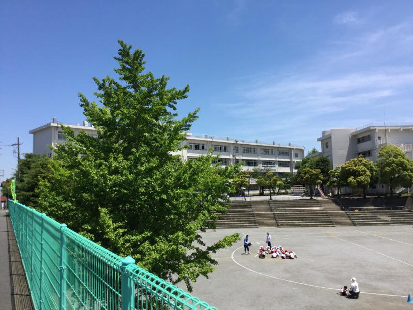活動歴および当時の関連ビジュアル記録